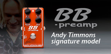 BB_andy2011.jpg