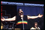 EricBurdon7.jpg (48kb)