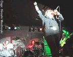 HollywoodAllStarz1.jpg (50kb)