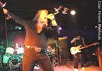 HollywoodAllStarz5.jpg (49kb)