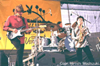 jeffkashiwa-2.jpg (47kb)