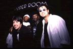 Viper.jpg (37,457 bytes)