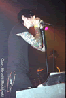 cs-10.jpg (50kb)