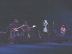 DSC00009.jpg (30kb)