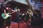 amoeba11.jpg (48kb)