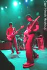 Altamont6.jpg (49kb)