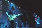 Altamont8.jpg (50kb)