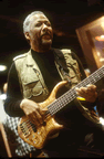 bass.jpg (35,193 bytes)
