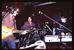 hinds1.jpg (50kb)