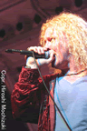 LedZepagain4.jpg (48kb)