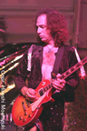 LedZepagain7.jpg (49kb)