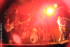 noodles2006-8.jpg (49kb)