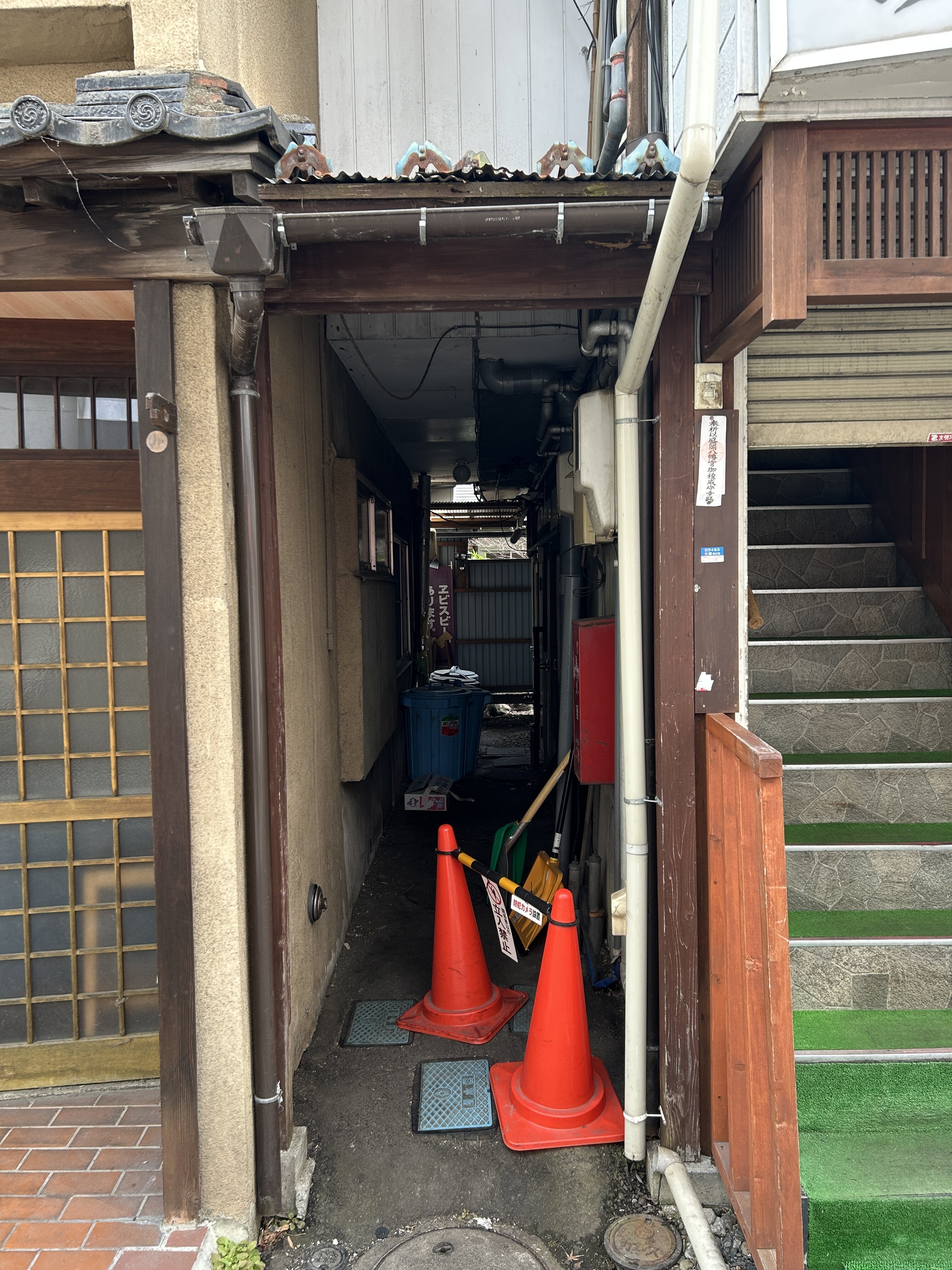 IMG_2229.jpeg
