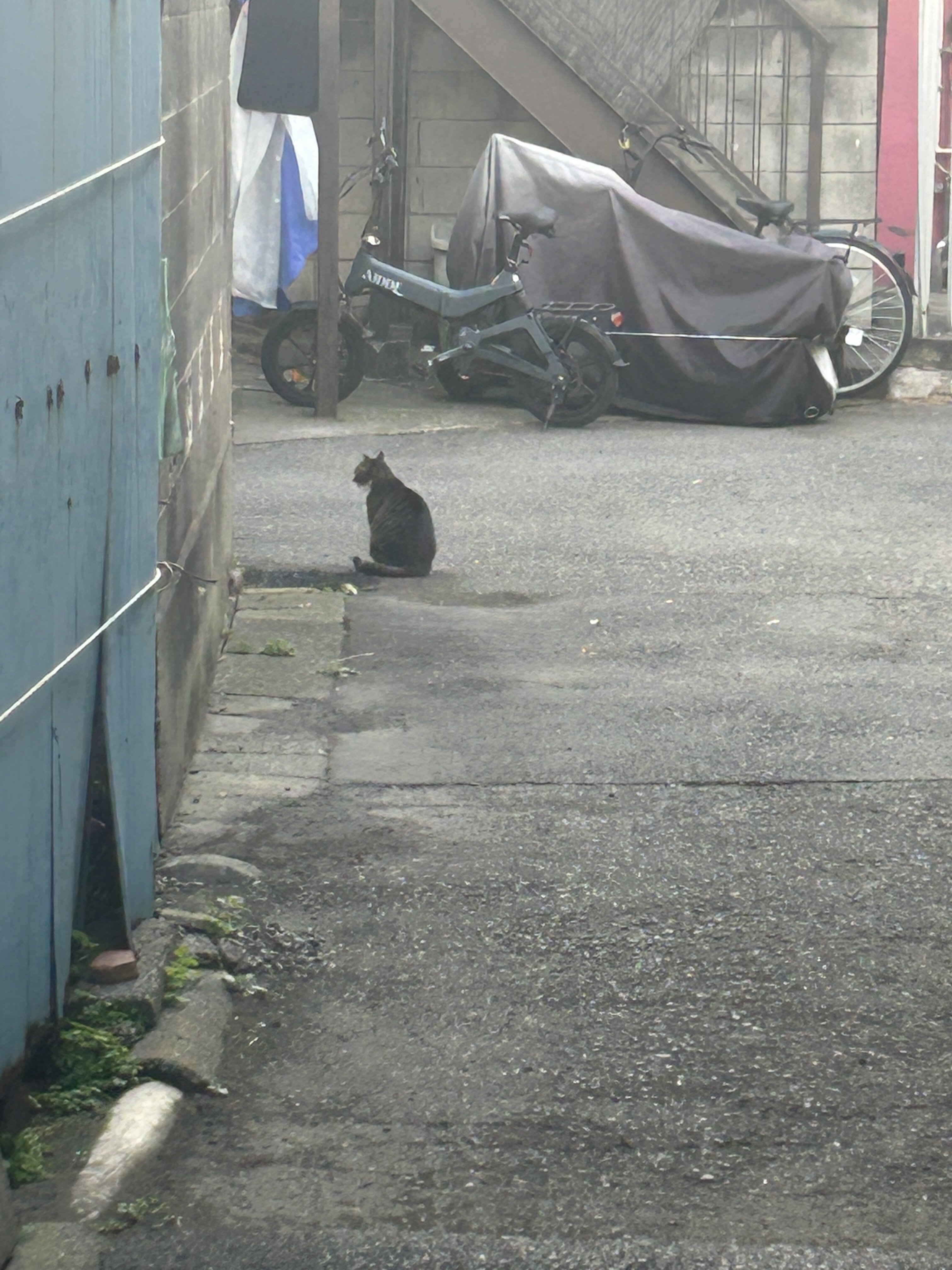 IMG_2414.jpeg