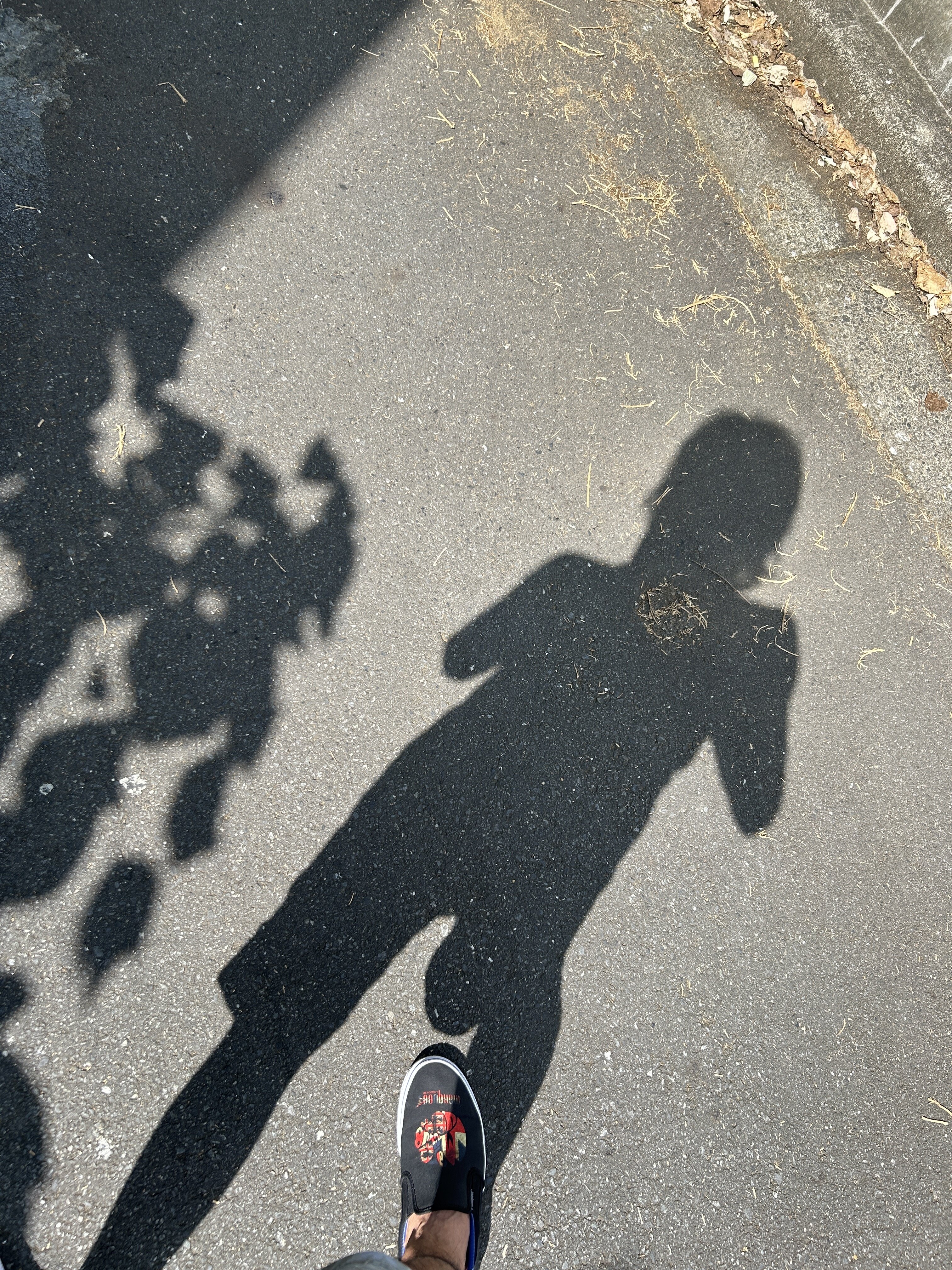IMG_3603.jpeg