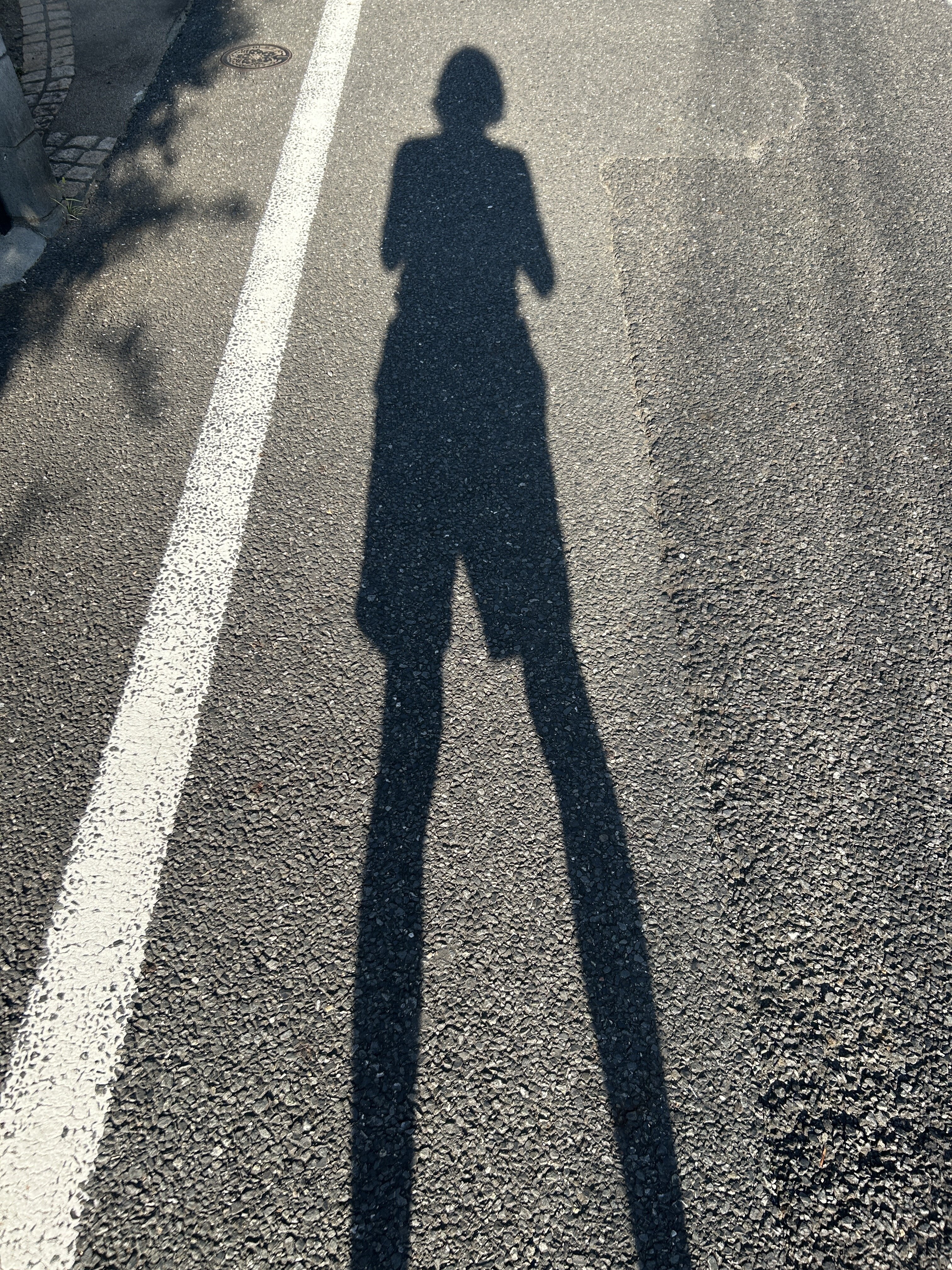 IMG_4062.jpeg