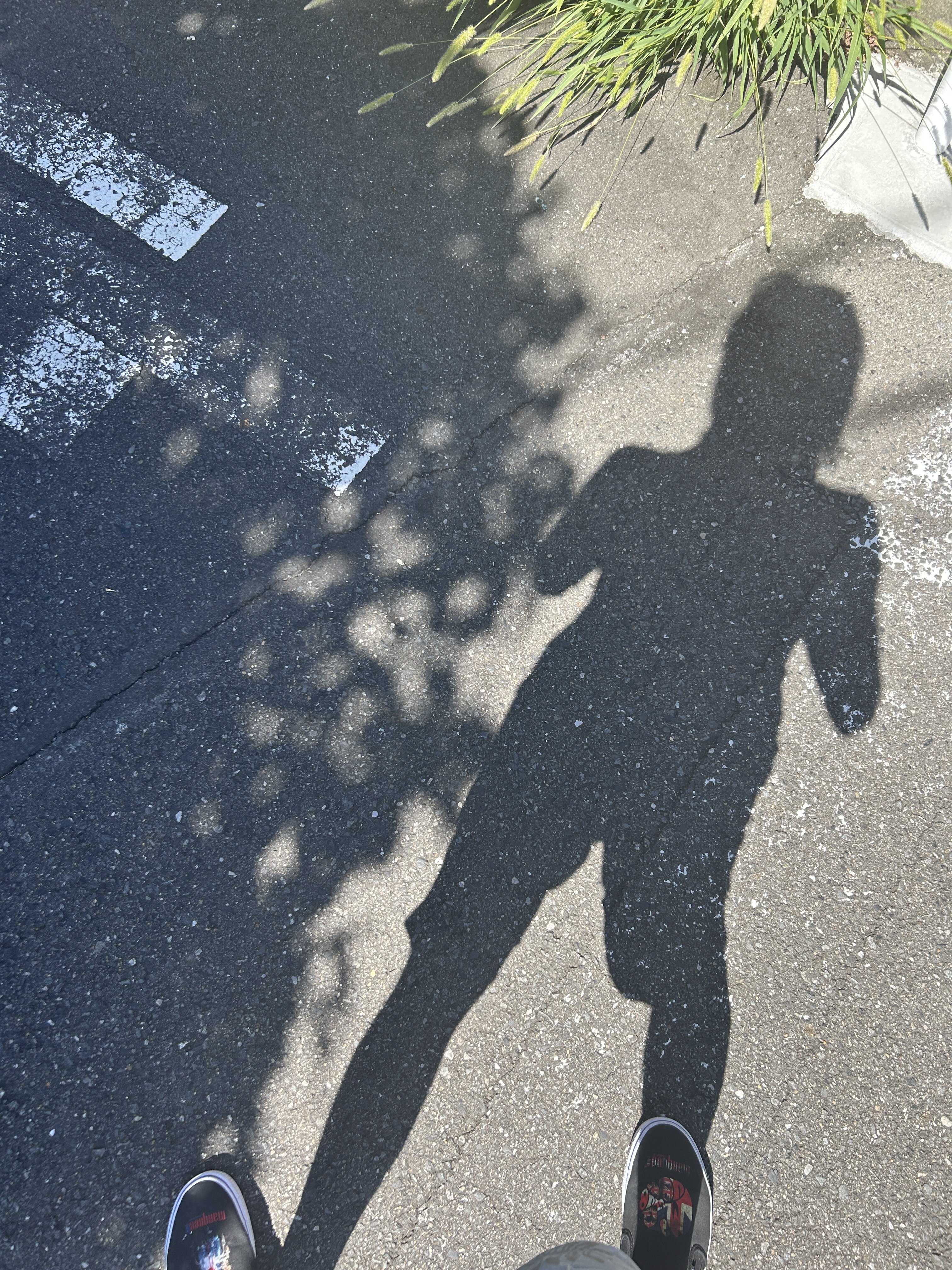IMG_4075.jpeg