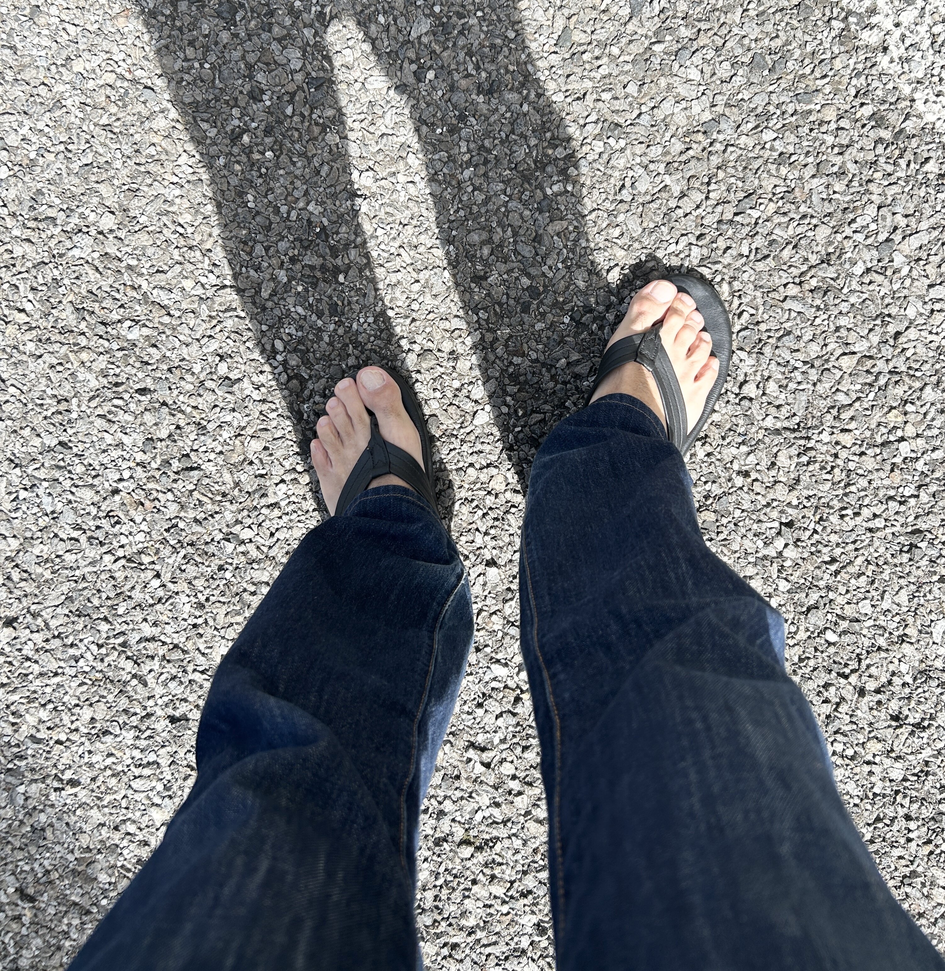 IMG_6516.jpeg