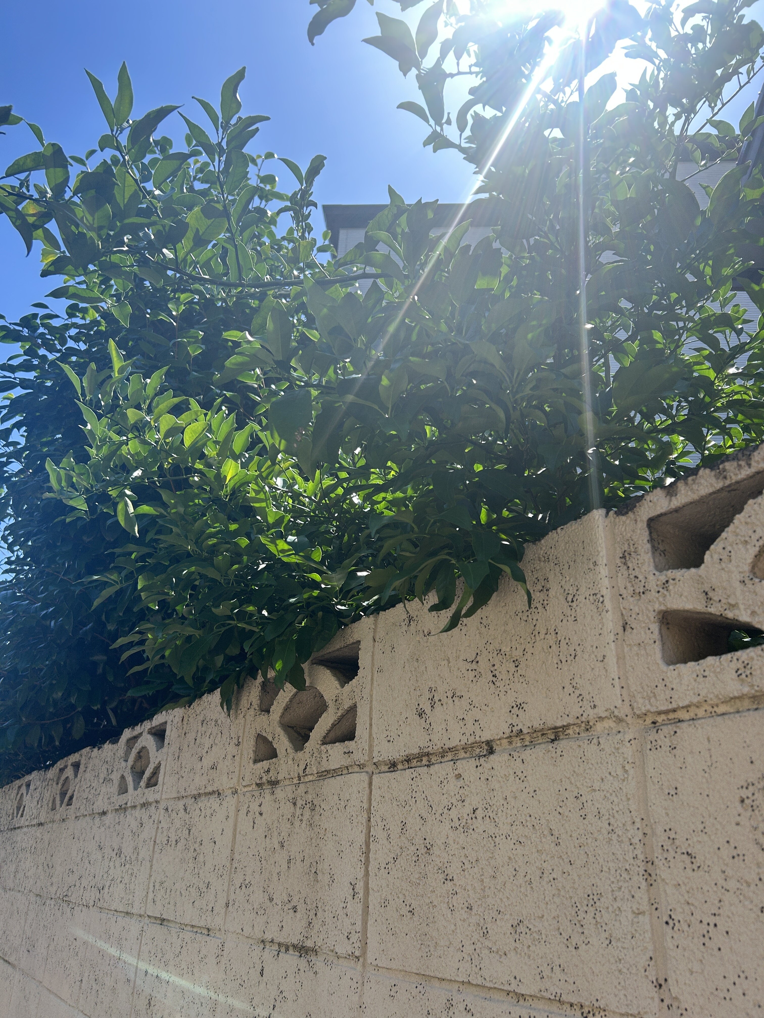 IMG_7211.jpeg