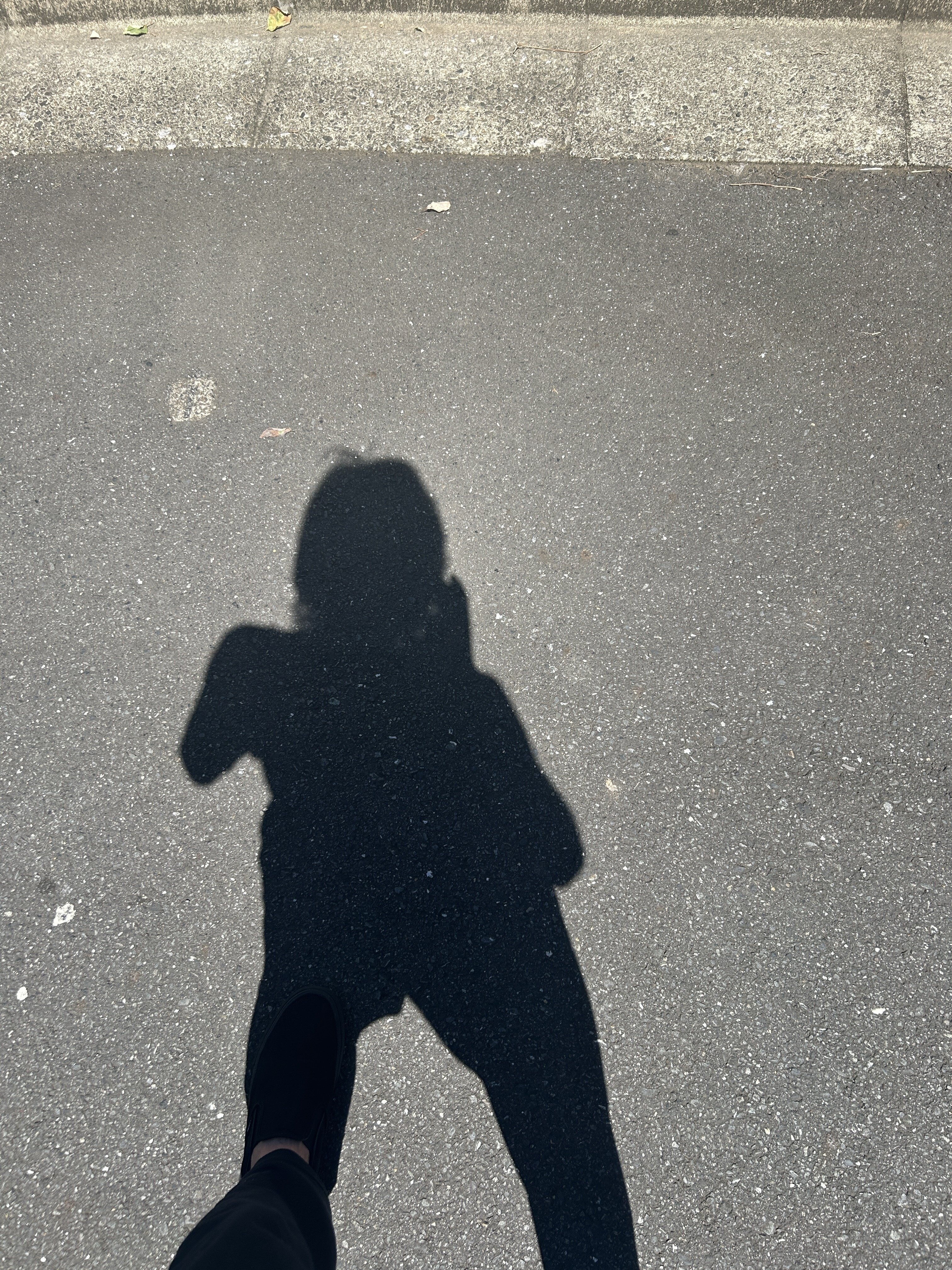 IMG_7214.jpeg