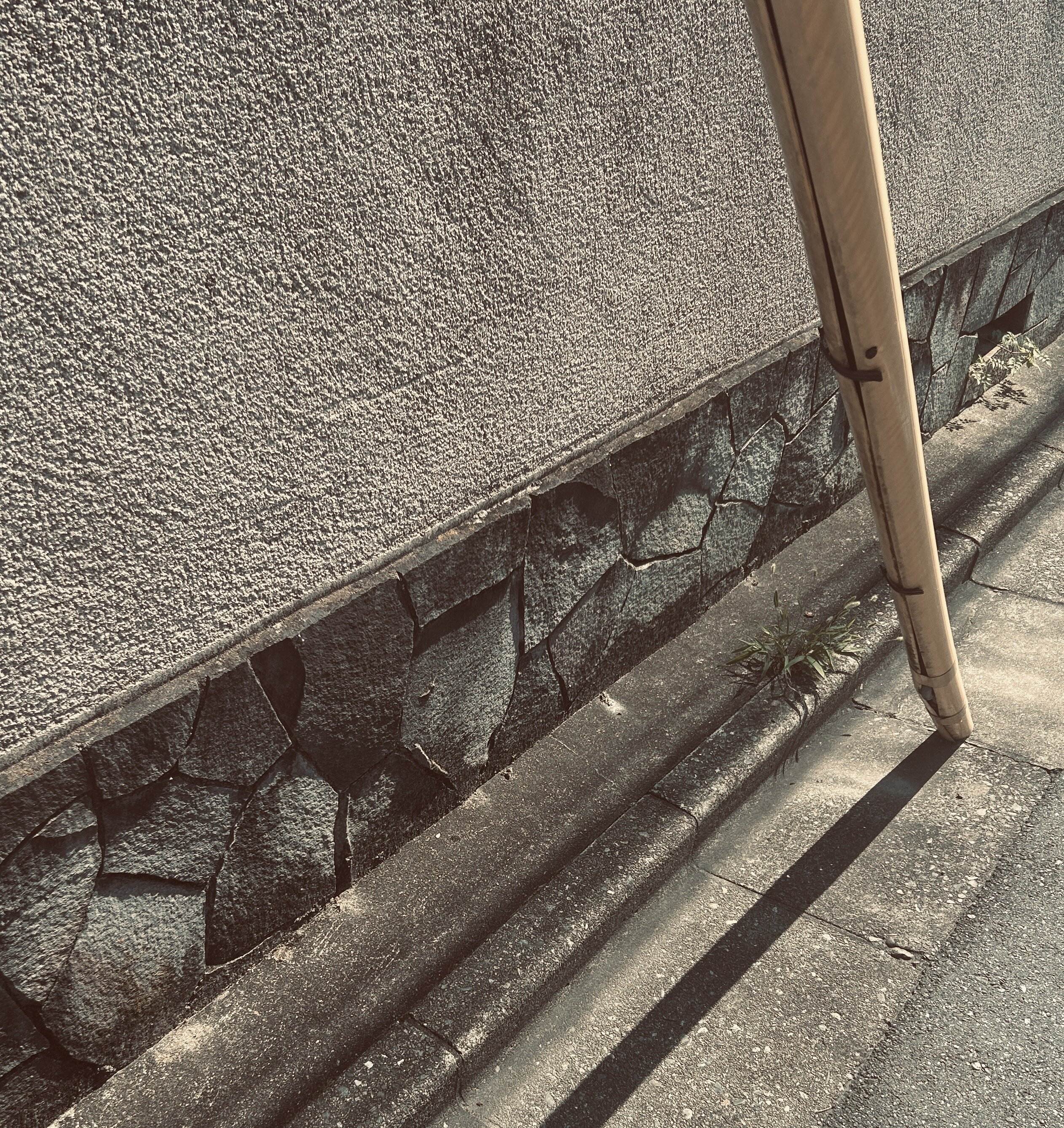 IMG_7572.jpeg