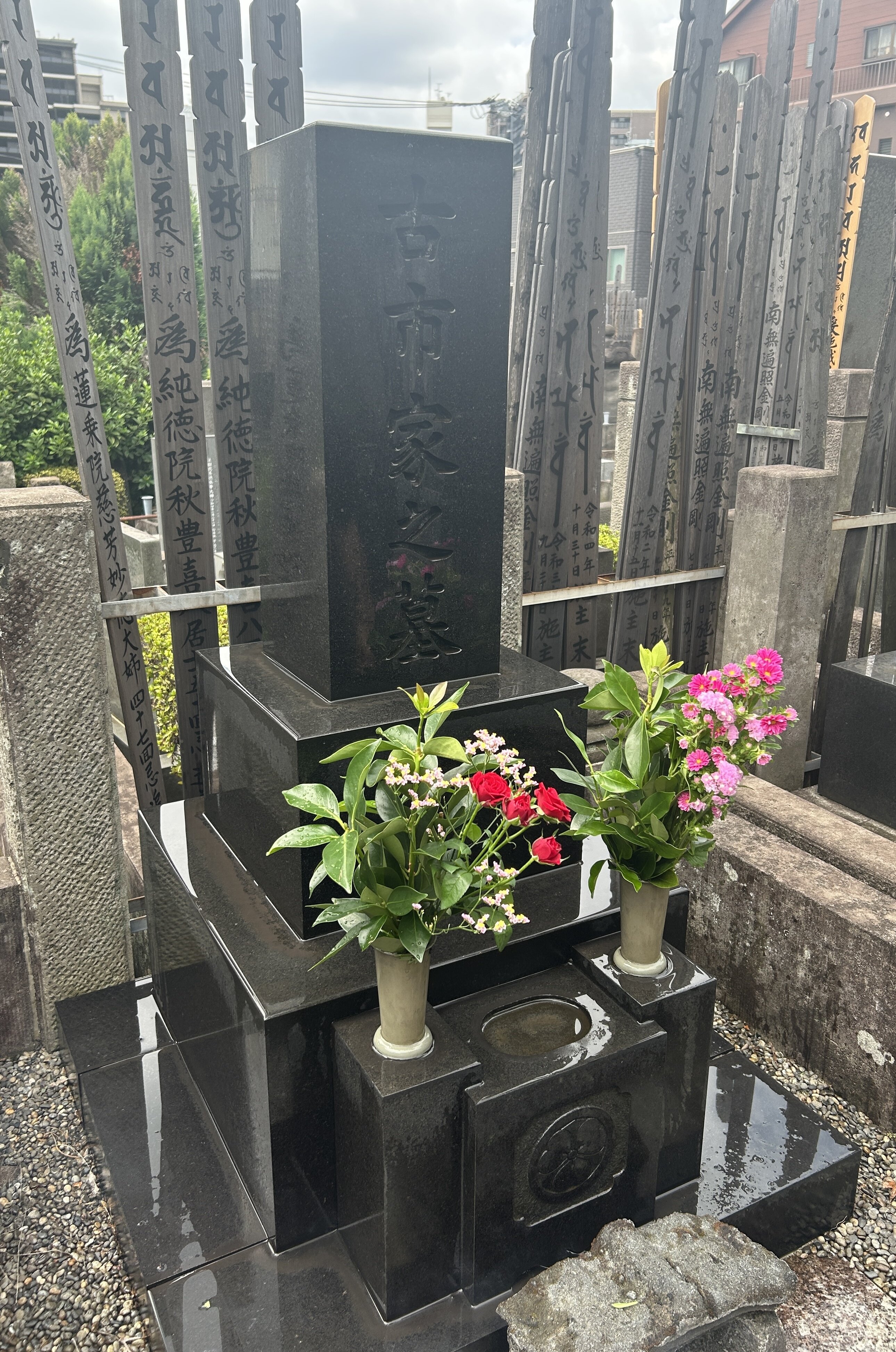 IMG_7923.jpeg