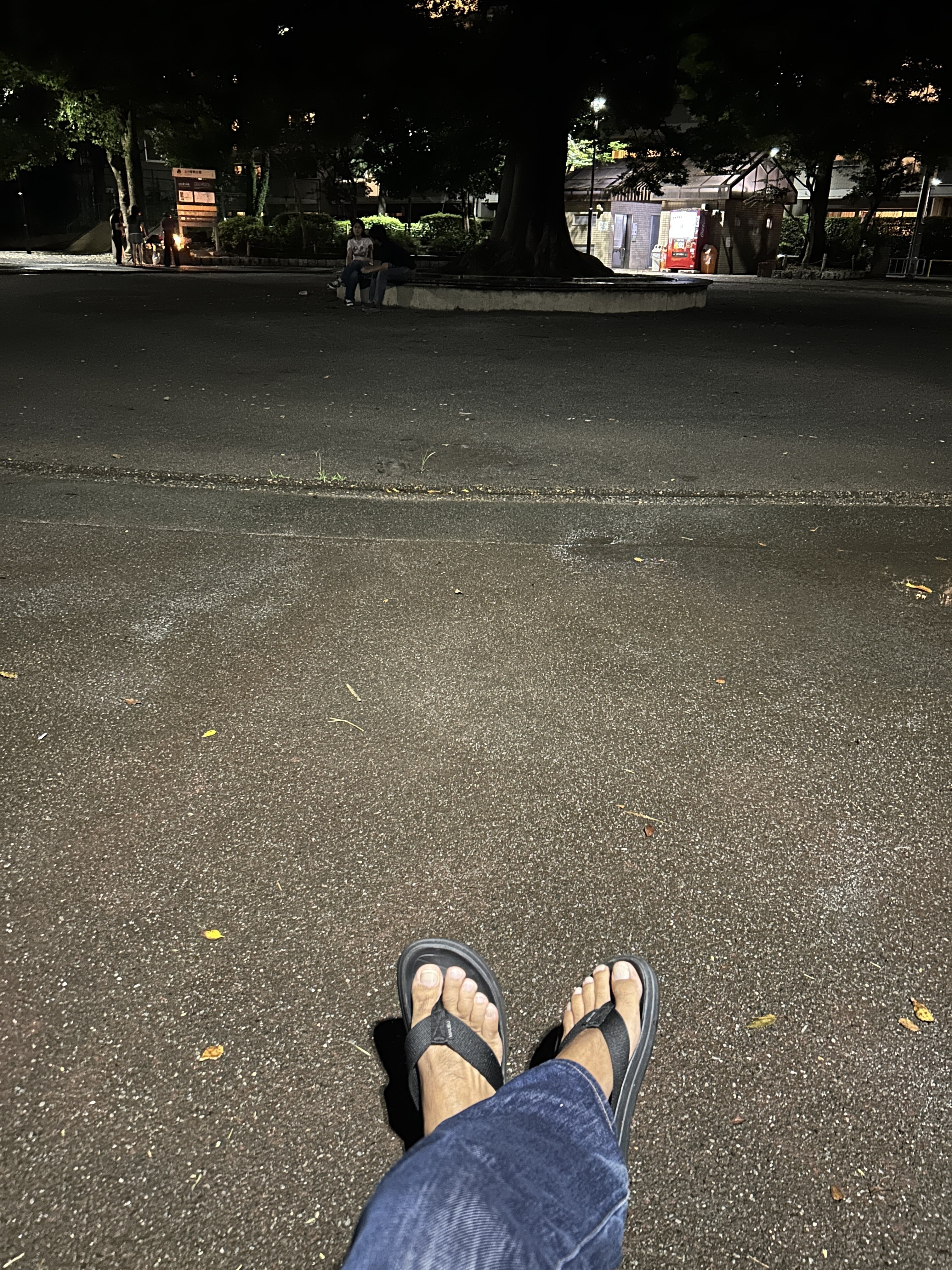 IMG_7988.jpeg