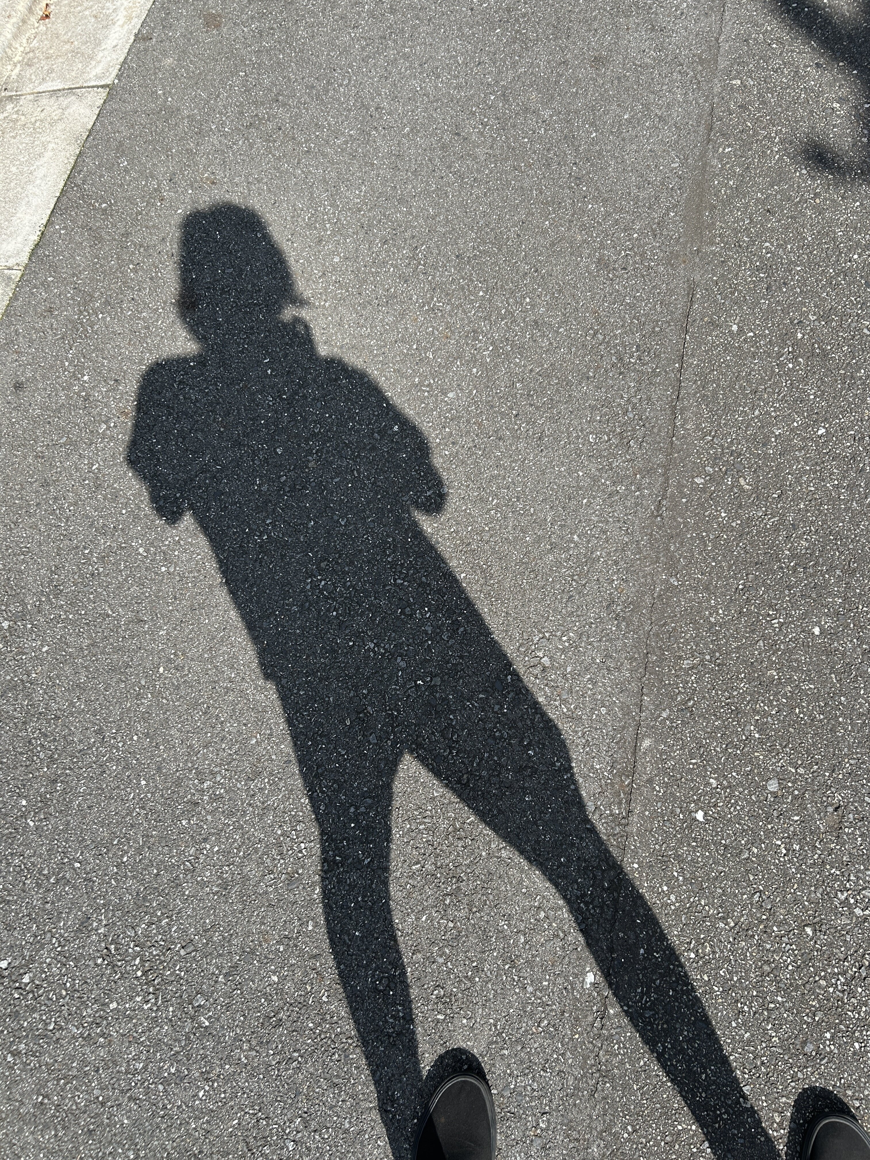 IMG_8321.jpeg