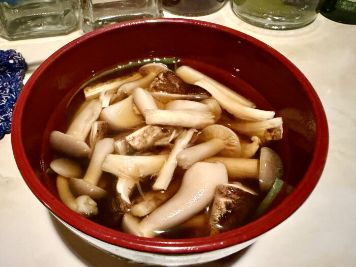 1082026Na18.JPG