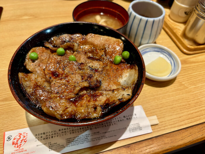 Sapporo25SpB1.JPG