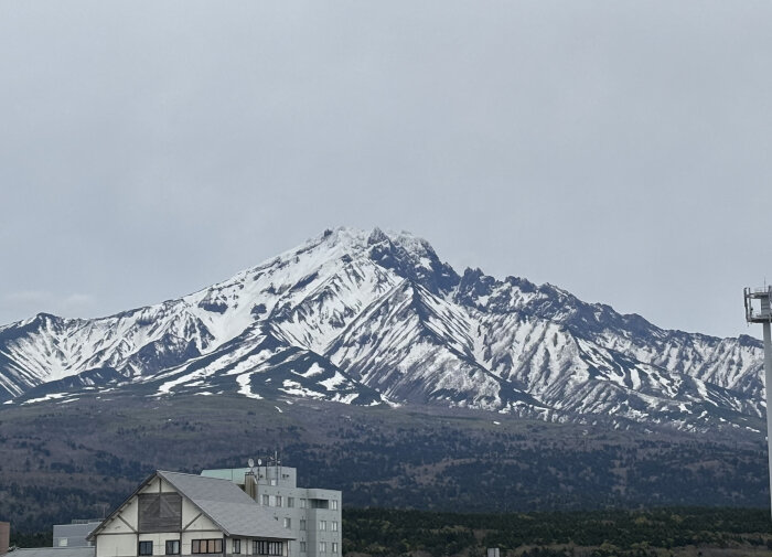 2026利尻島9.JPG